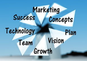 武漢服裝品牌創業之路 市場調研的關鍵作用與成功案例分析